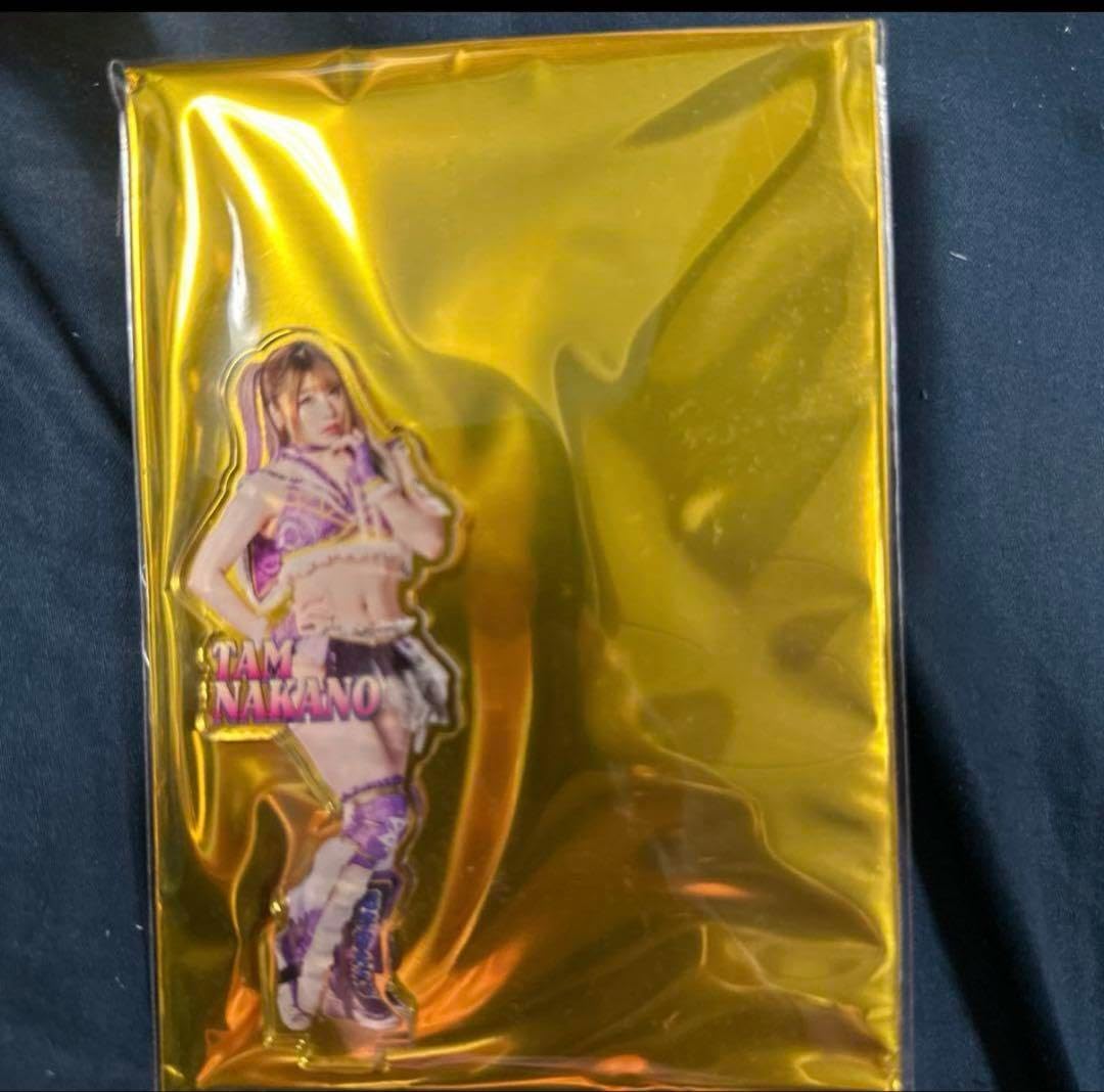 中野たむ　STARDOMくじ2025 アクスタ STARDOM くじ 2025当たり BIGアクリルスタンド アクスタ 中野た